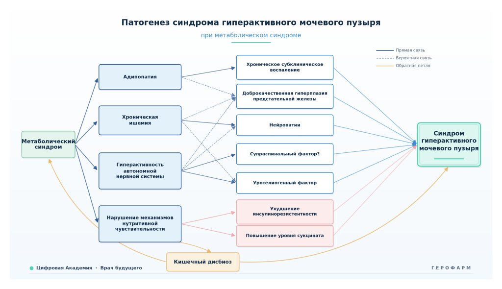 scheme_academy_premium (4).png