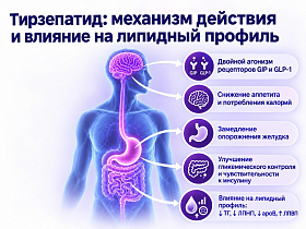 Тирзепатид в комплексной терапии пациента с ожирением и сердечно-сосудистой патологией