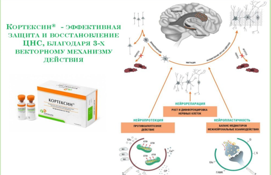 авупкауы.png авупкауы.png