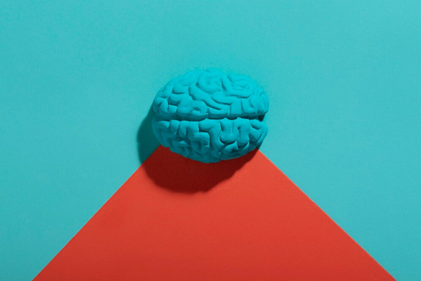 «Дороги, которые мы выбираем» Как мозг принимает решения